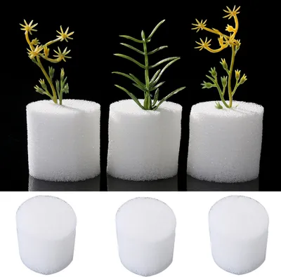 Produktbild von 100 Stück Soilless hydroponische Kindergartenschwamm Gemüsekultivierungsschale Gemüse