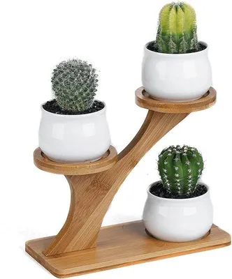 Image de Pots pour plantes succulentes en céramique - Pots de fleurs design hibou avec support en bambou 3 pièces Pot de fleurs