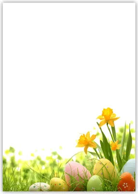 Produktbild von Motiv Briefpapier (Ostern-5023, DIN A4, 100 Blatt). Einseitig bedrucktes Briefpapier,  beschreibbar, Motivpapier für alle Drucker/Kopierer geeignet  Motiv Ostern gelbe Narzissen Ostereier