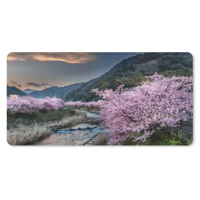 Produktbild von MuchoWow® Mauspad Mousepad Kirschbaum - Mons - Frühling 60x30 cm - Mousepads - Maus Mat - Pad - Mausunterlage - Nachhaltig