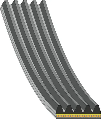Produktbild von FEBI BILSTEIN Keilrippenriemen 1166mm für FIAT PUNTO (199) 181286