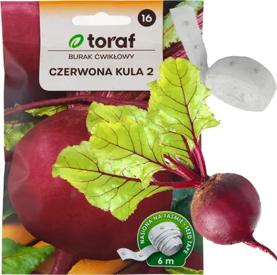 Zdjęcie produktu dla T8001 Burak Ćwikłowy Na Taśmie Czerwona Kula  Taśma Nasienna Nasiona Buraka 6M