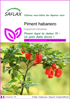 Image de SAFLAX  - Piment habanero - 10 graines - Capsicum