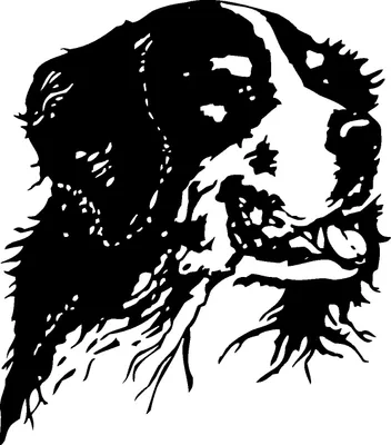 Produktbild von Sennenhund - Wandtattoo - Berner