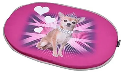 Produktbild von AMI CONFORT 6COU253 Kissen für Hunde, in Sitzform, 61 cm