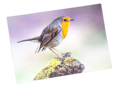 Produktbild von 3 D Ansichtskarte Rotkehlchen, Postkarte Wackelkarte Hologrammkarte Tiere Tier Vogel Gartenvogel