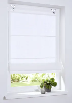 A white Roman blind is shown hanging in a window, with a view of greenery outside.