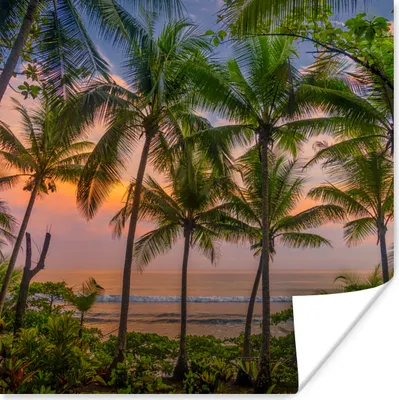 Produktbild von MuchoWow® Poster Palme - Tropisch - Meer 75x75 cm - Wand Dekoration
