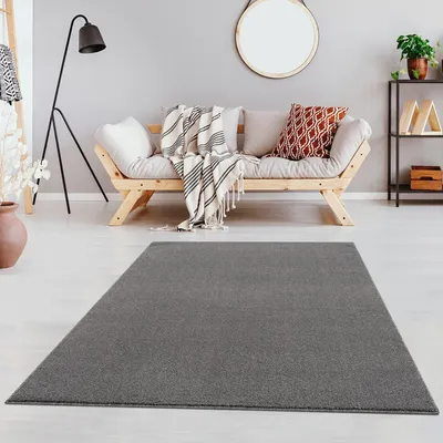 Obrázek produktu pro Koberec, rozměry 120x170 cm, světle šedá barva, krátký vlas, vhodný do obývacího pokoje