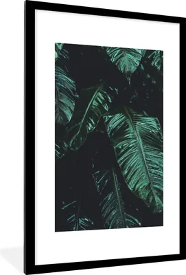 Produktbild von MuchoWow® Gerahmtes Poster Dschungel - Palme - Blätter - Tropisch 60x90 cm - Poster mit Schwarzem Bilderrahmen Wandposter Rahmen Foto Bilder - Dekoration - Wandposter Wohnzimmer - Hochwertig