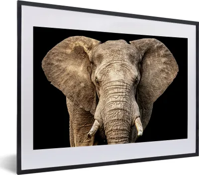 Produktbild von MuchoWow® MuchoWow® Gerahmtes Poster Elefant - Porträt - Schwarz 40x30 cm - Poster mit zchwarzem Bilderrahmen - Bilderrahmen - Poster im Rahmen