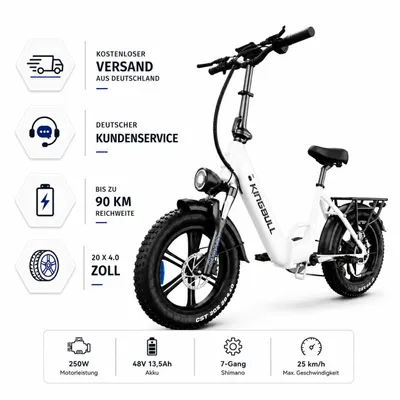 Produktbild von Literider 2.0 20 Zoll Fat E-Bike Tiefeinsteiger 250W, 48V 13,5Ah Akku, bis 90 km, Shimano 7-Gang, bis 180 kg