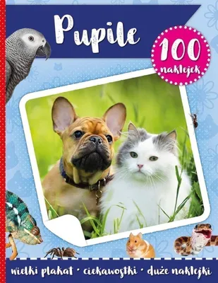 Image de Pupile. 100 naklejek z plakatem