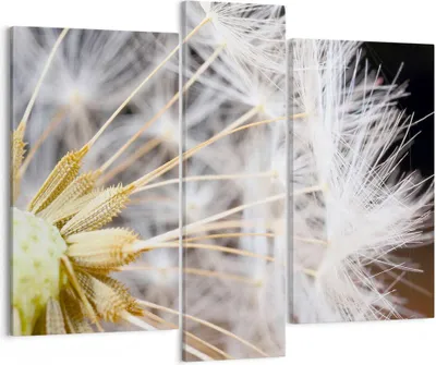Produktbild von Bild auf Leinwand - Leinwandbild - Baby Sommer Pflanze - 95x80cm - Wand Bild - Wanddeko - Wandbilder - Leinwanddruck - Bilder - Kunstdruck - Wanddekoration - Leinwand bilder - Wandkunst - CB95x80-3630