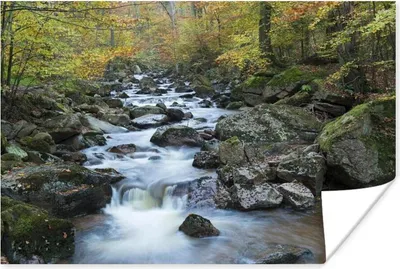 Produktbild von MuchoWow® Poster Bach entlang der Felsen im deutschen Nationalpark Harz 60x40 cm - Schlafzimmerdekoration