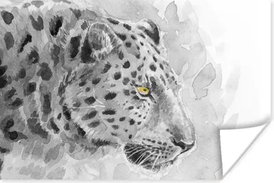 Produktbild von MuchoWow® Poster Leopard - Schwarz - Weiß - Profil 90x60 cm - Schlafzimmer