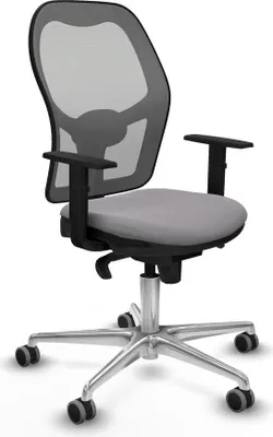 Image de Bürostuhl Piqueras y Crespo 1D086G0 Grau