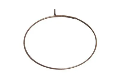 Produktbild von Fulcrum Sperrklinkenfeder Für Mtb-sperrklinke Silber Silber One Size