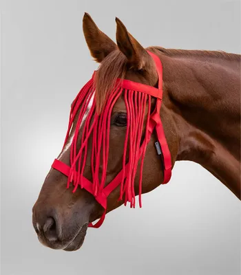 Image de Waldhausen Licol de pâturage avec franges anti-mouches, Taille:Sang chaud, Couleur:Rouge