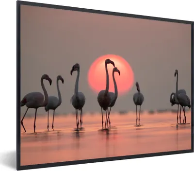 Produktbild von MuchoWow® Gerahmtes Poster Vogel - Flamingo - Sonnenuntergang - Rosa 80x60 cm - Poster mit Schwarzem Bilderrahmen Wandposter Rahmen Foto Bilder - Schwarzem - Mit Gestell
