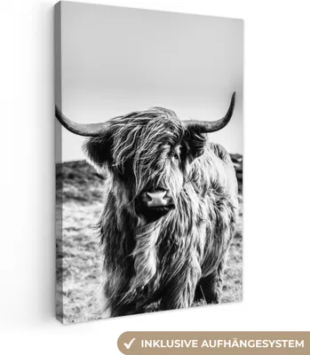 Obrázok produktu pre MuchoWow® - Plátno - Škótsky horal - Čierna - Biela, nástenný obraz, nástenné dekorácie obrazy obývacia izba, 80x120cm
