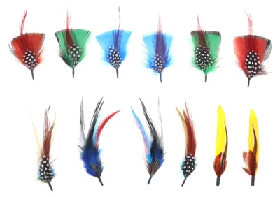 Hutfedern, 12er-Set, echte Federn, mehrfarbig, 10–13 cm, für DIY und Dekoration