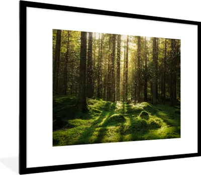 Produktbild von MuchoWow® Gerahmtes Poster Bäume - Wald - Moos - Pflanzen - Sonne - Natur 80x60 cm - Poster mit Schwarzem Bilderrahmen Wandposter Rahmen Foto Bilder - Schlafzimmer-Dekorationen - Fotoposter