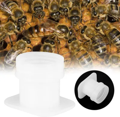 Zdjęcie produktu dla 10PCS Bee Water Feeder Bowl Drinker Drinking Fountain Waterer Beekeeping Equipment Tools