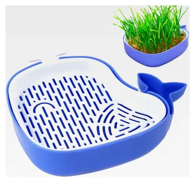 Produktbild von Katzengras-Pflanzgefäß – Erdefreies Anzuchtbehältnis | Hydroponisches Hohlkulturset, tierversicherter Grasbehälter | Bodenlose Keimschale für Zuhause, Garten, Katzen und Kätzchen