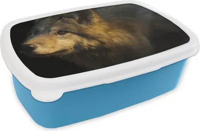 Obrázok produktu pre KitchenYeah® Lunchbox Snack Box 17x11 cm Wolf - Gold - Sun Kids Snack Box - Lunch - Plastic - Bread Tin - Sandwich Box - Lunchbox pre deti