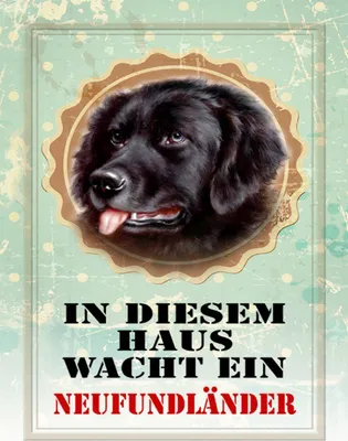 Produktbild von vianmo Holzschild 40x30 cm Hund diesem Haus wacht Neufundländer
