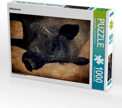 Produktbild von Calvendo Wildschwein 1000 Teile Puzzle hoch 480x640mm, Dölling Angela; 7303601