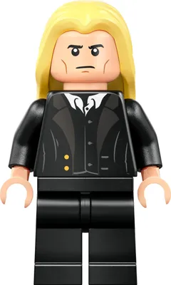 Immagine prodotto di LEGO Harry Potter: Lucius Malfoy