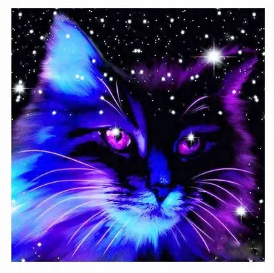 Produktbild von Diamantmosaik: Ein Kletterkater vor dem Himmel