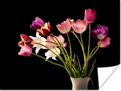 Produktbild von MuchoWow® Poster Tulpen - Stilleben - Blumen 80x60 cm - Kunst für zu Hause