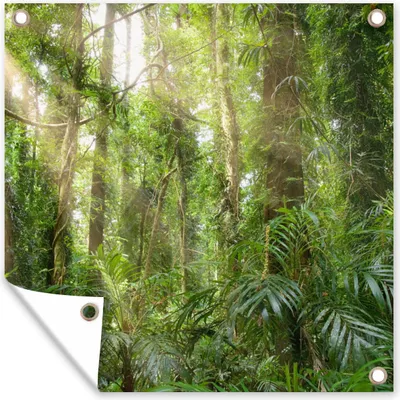 Produktbild von MuchoWow® 100x100 cm Outdoor-Poster Gartendeko Sichtschutz Garten Poster für den Garten  Licht im Wald