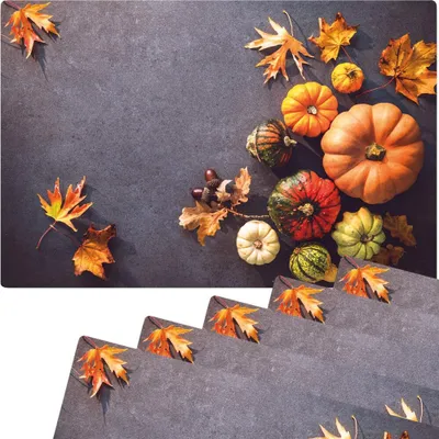Produktbild von Abwaschbare Tischsets 6er Set Herbst-Laub & Kürbisse
