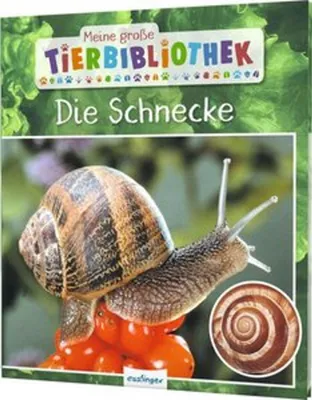 Produktbild von Meine große Tierbibliothek: Die Schnecke