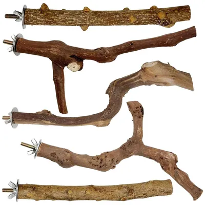 Obrázek produktu pro Sada 5 kusů dřevěných krmidel pro ptáky, vhodné pro andulky, korely a kanárky, délka 20-30 cm