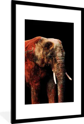 Produktbild von MuchoWow® MuchoWow® Gerahmtes Poster Elefant - Tiere - Rot 60x90 cm - Poster mit zchwarzem Bilderrahmen - Dekoration - Wandposter Wohnzimmer - Hochwertig