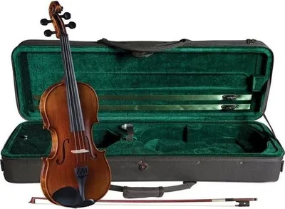 Obrázok produktu pre Cremona SV-500