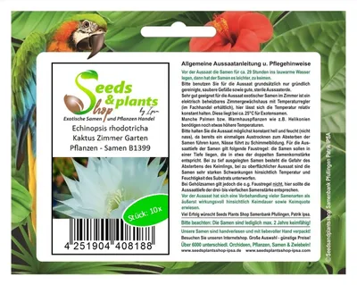 Produktbild von 10x Echinopsis rhodotricha Kaktus Zimmer Garten Pflanzen - Samen B1399