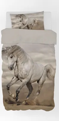 Produktbild von Bettwäsche Set mit Pferd 2 tlg. 135x200 cm (80x80 cm)