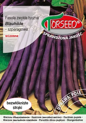 Produktbild von Samen Blauhilde 10g thia Bohne - Torseed