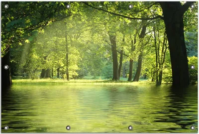 Produktbild von Wallario Outdoor-Poster für Garten oder Balkon, Motiv Idyllischer See im Wald bei Sonnenschein, in ca. 80 x 120 cm