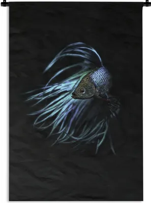 Produktbild von MuchoWow® Wandteppich Wandbehang Fische - Meerestiere - Blau - Schwarz 60x90 cm Tapisserie Dekoration Wandtuch - Foto-Teppich - Abwaschbar