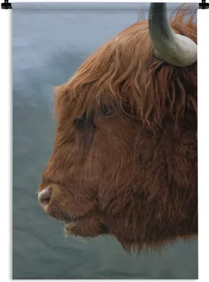 Produktbild von MuchoWow® Wandteppich Wandbehang Schottische Highlander - Tiere - Nebel 120x180 cm Tapisserie Dekoration Wandtuch - Schlafzimmer - Dekorationen für das Haus