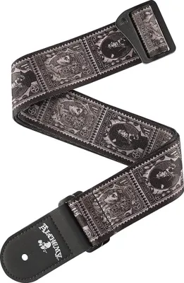 Productafbeelding van PLANET WAVES 50AL09 Alchemy Aether - verzendkosten