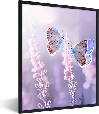 Produktbild von MuchoWow® Gerahmtes Poster Schmetterling - Lavendel - Blumen - Lila 60x80 cm - Poster mit Schwarzem Bilderrahmen Wandposter Rahmen Foto Bilder - Premium - Wanddeko Wohnzimmer
