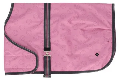 Immagine prodotto di Coperta per puledri QHP Turnout Collection 100 g - Misty Blue 95